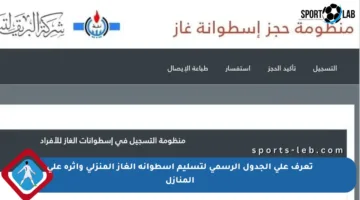 تعرف على الجدول الرسمي لتسليم أسطوانة الغاز المنزلي وأثره على المنازل